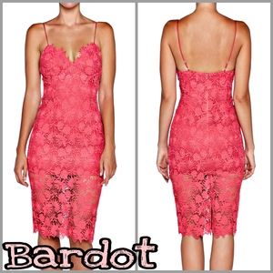 bardot tayla lace cocktail dress